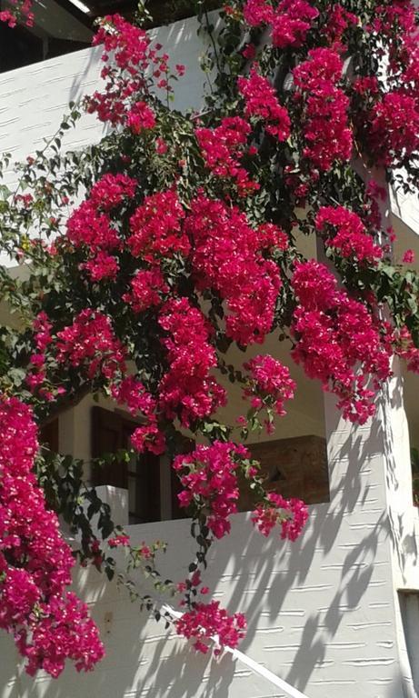 Ligaries Apart otel Kini Dış mekan fotoğraf
